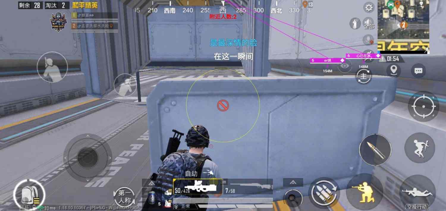 和平精英辅助【神女】